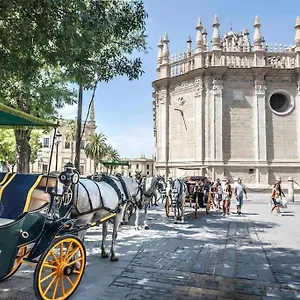 https://jimios-city-center-by-valcambre.es-andalucia.com